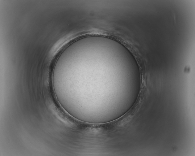 X0000111610247200907311146