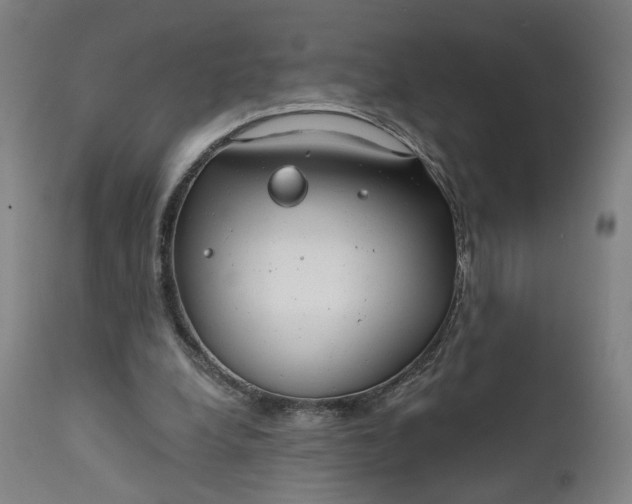 X0000111610248200907311146