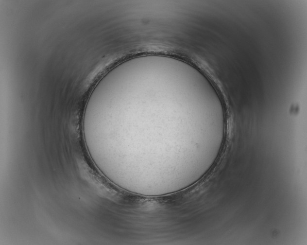 X0000111610249200907311146