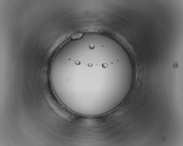 X0000111610250200907311146