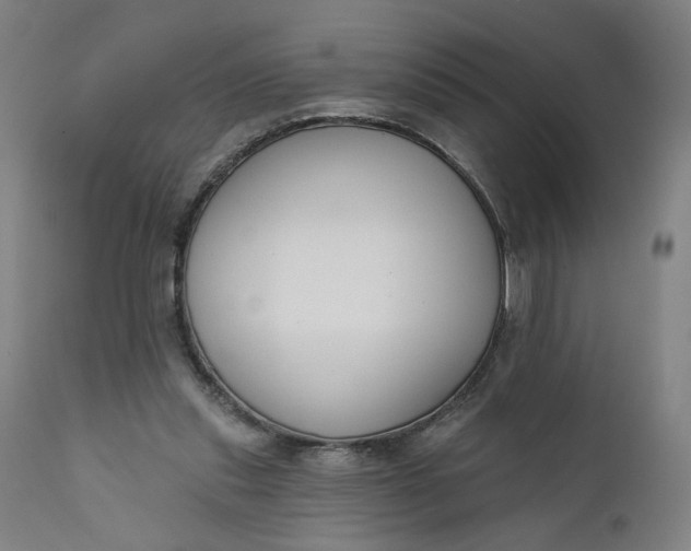 X0000111610253200907311146