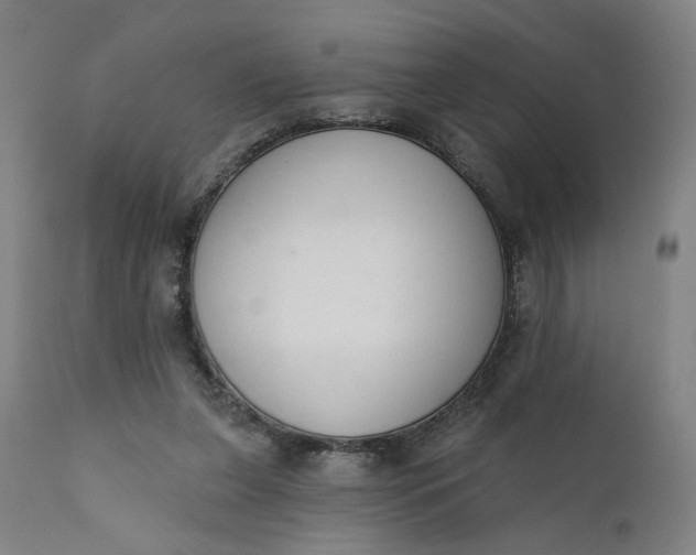 X0000111610255200907311146