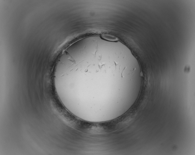 X0000111610256200907311146