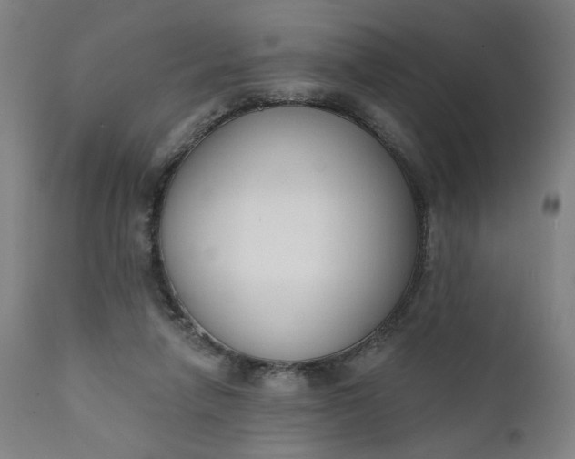 X0000111610258200907311146