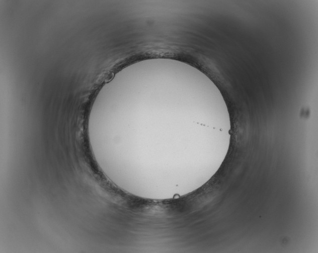 X0000111610259200907311146