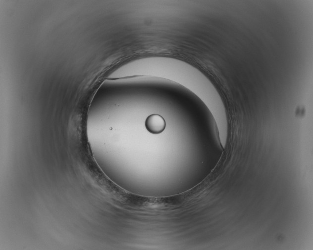 X0000111610260200907311146