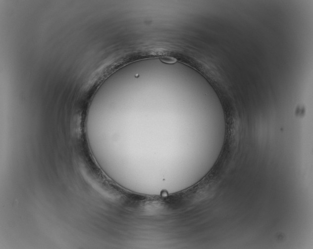 X0000111610262200907311146