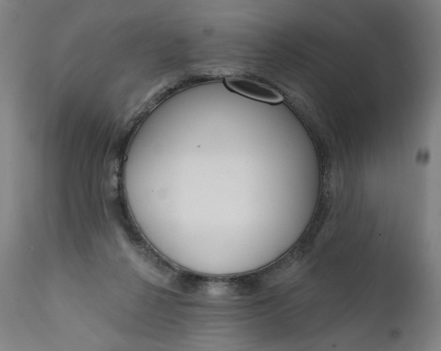 X0000111610264200907311146