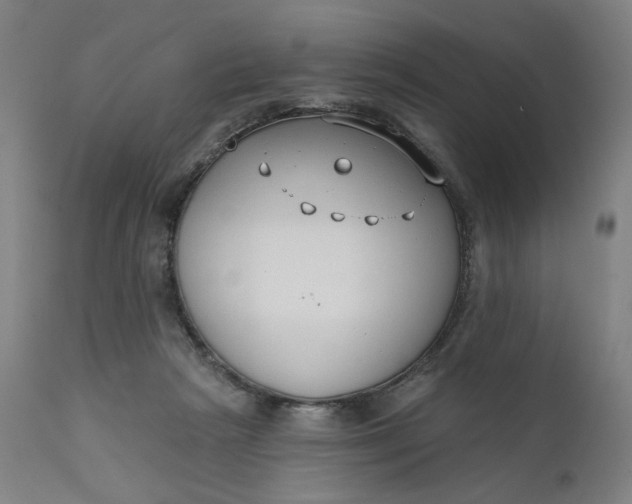 X0000111610265200907311146