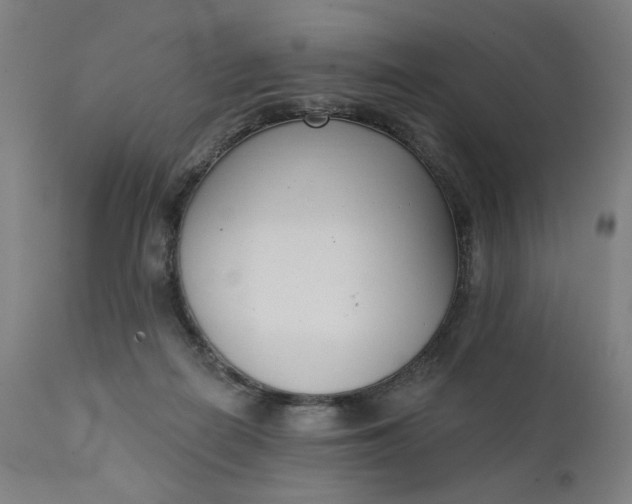 X0000111610266200907311146