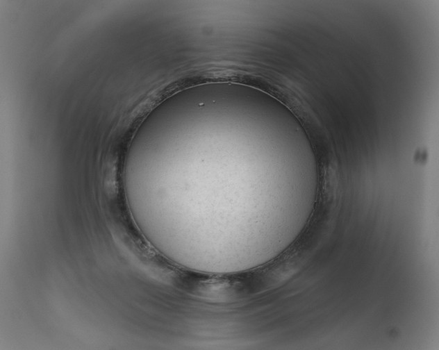 X0000111610267200907311146