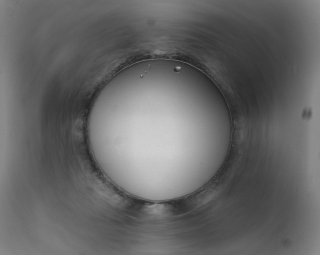 X0000111610269200907311146