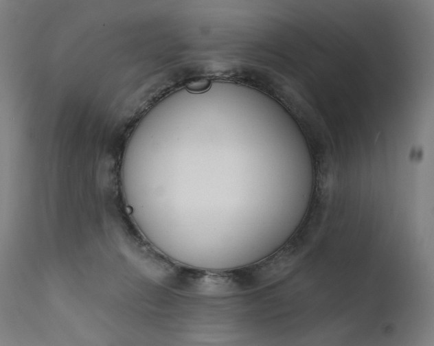 X0000111610270200907311146