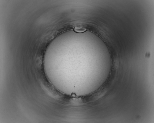 X0000111610271200907311146