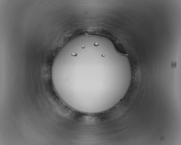 X0000111610272200907311146