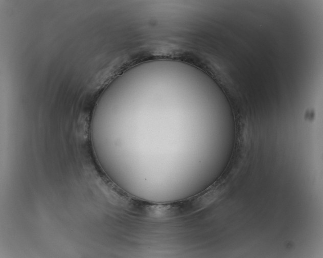 X0000111610273200907311146