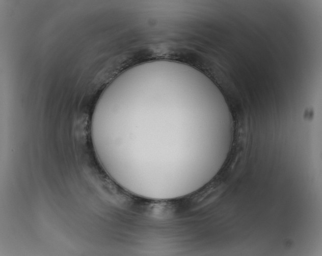 X0000111610275200907311146