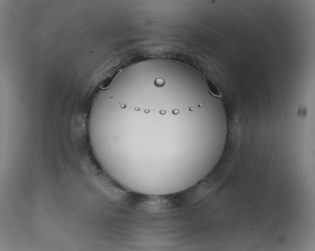 X0000111610278200907311146