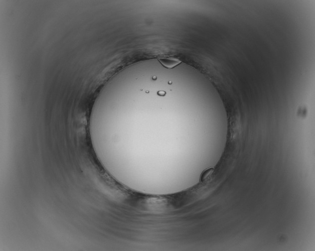 X0000111610279200907311146