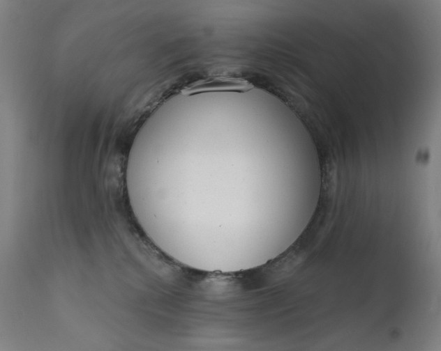 X0000111610280200907311146