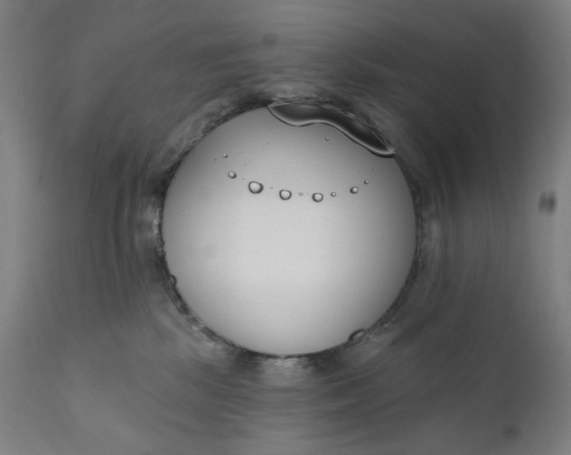 X0000111610281200907311146