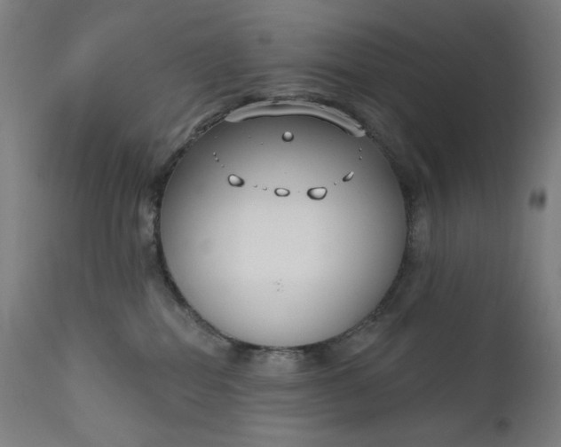 X0000111610282200907311146