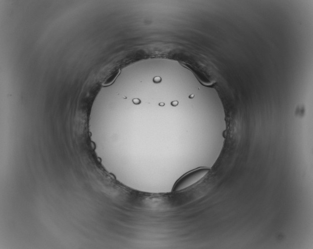 X0000111610283200907311146