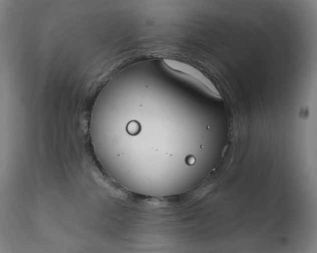 X0000111610284200907311146