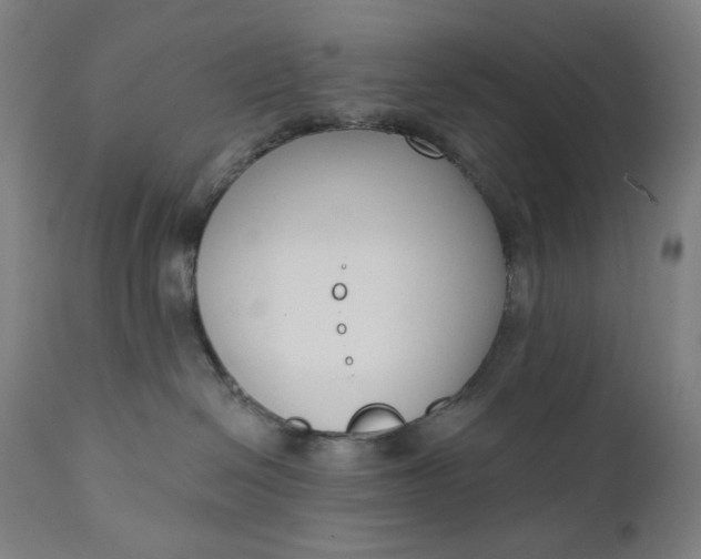 X0000111610286200907311146