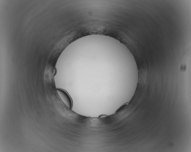 X0000111610287200907311146