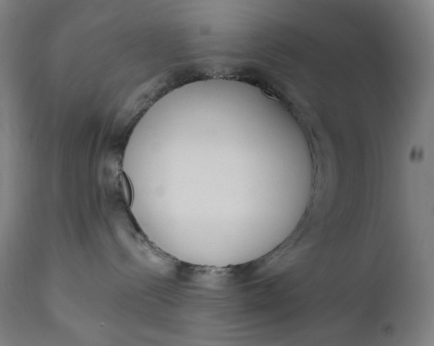 X0000111610288200907311146