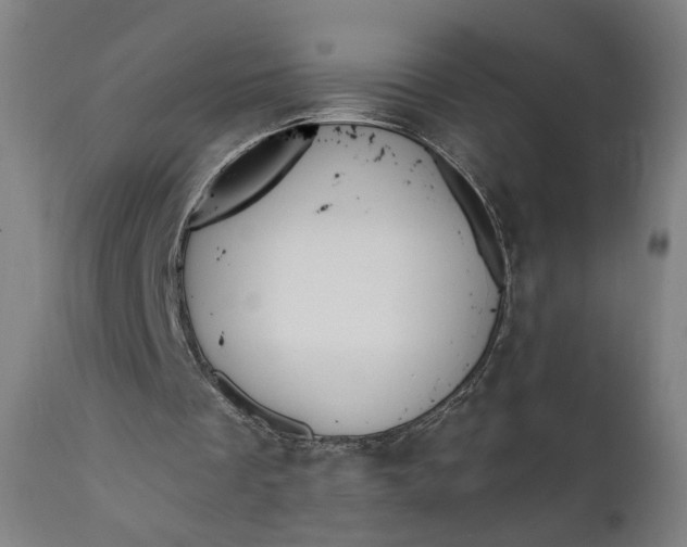 X0000111610289200907311145