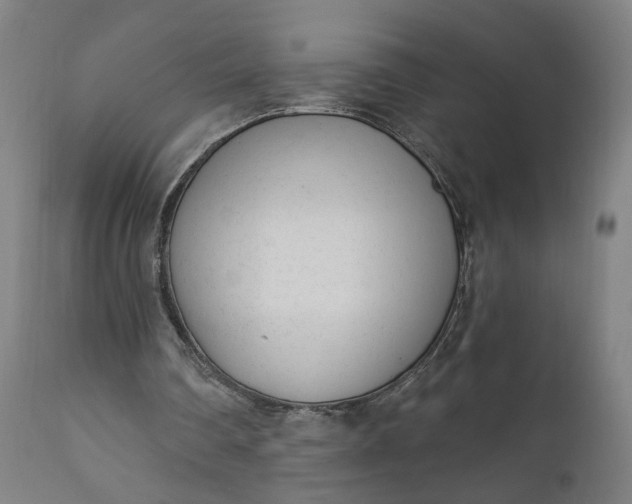 X0000111610290200907311145