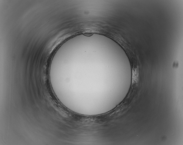 X0000111610291200907311145