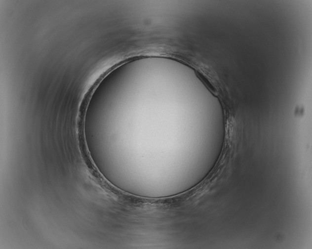 X0000111610292200907311145