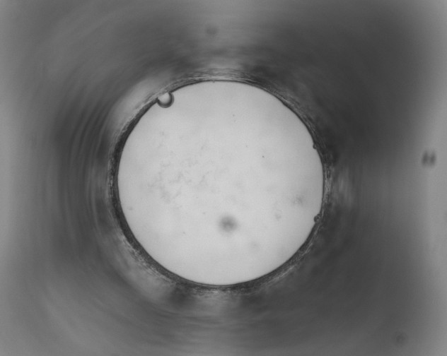 X0000111610293200907311145