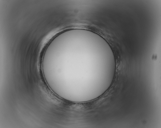 X0000111610294200907311145