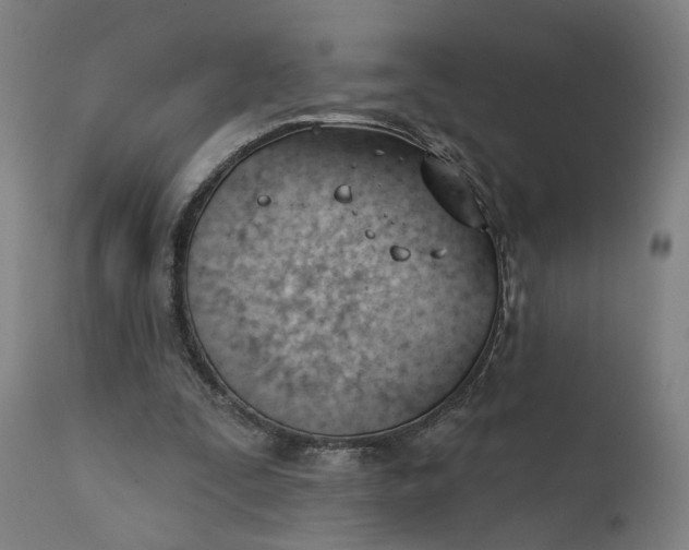 X0000111610295200907311145