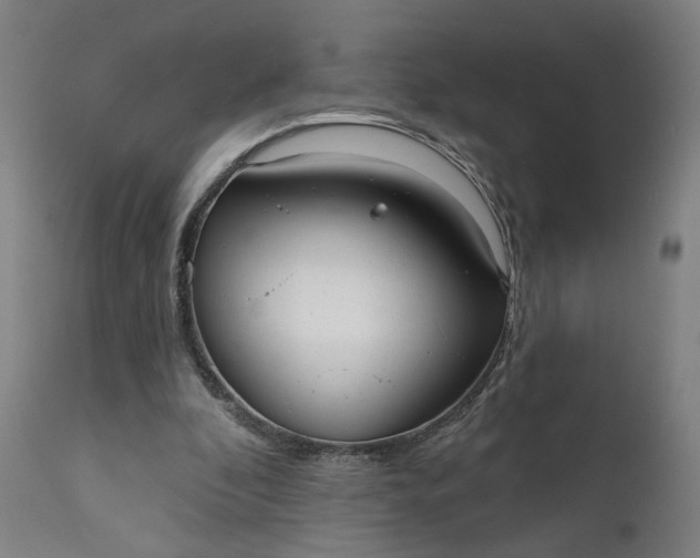 X0000111610296200907311145