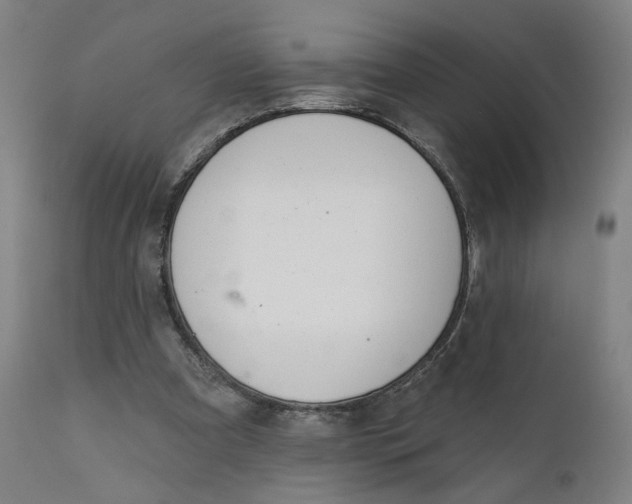 X0000111610297200907311145