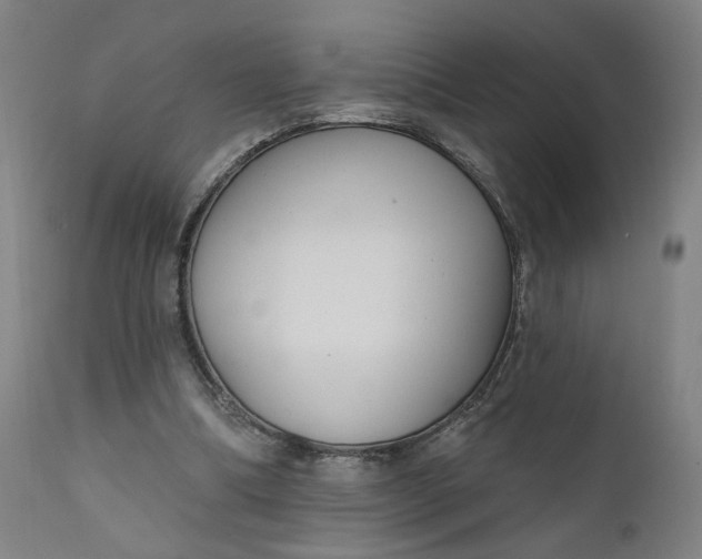 X0000111610298200907311145