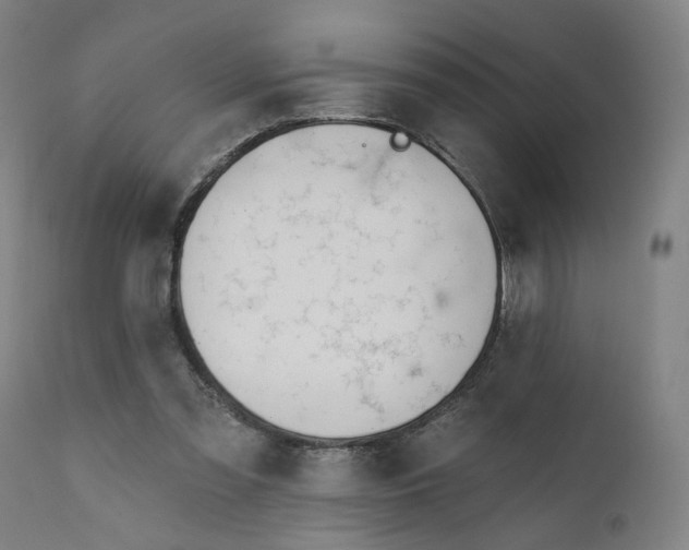 X0000111610301200907311145