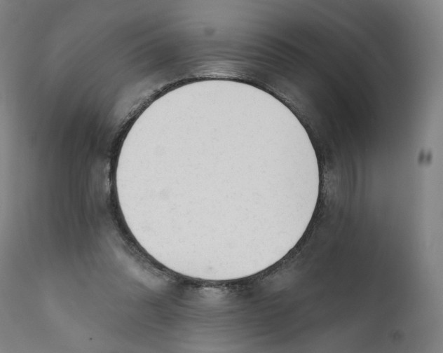 X0000111610302200907311145