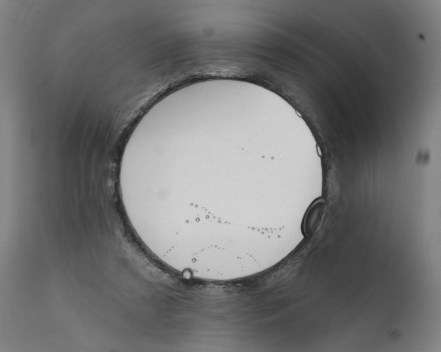 X0000111610305200907311145