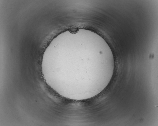 X0000111610307200907311145