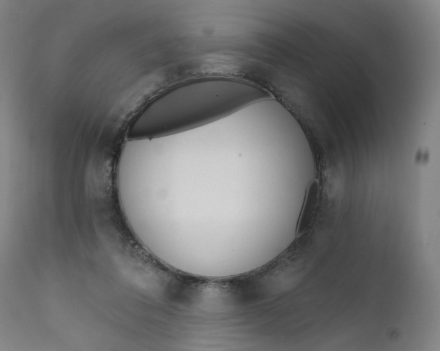 X0000111610308200907311145