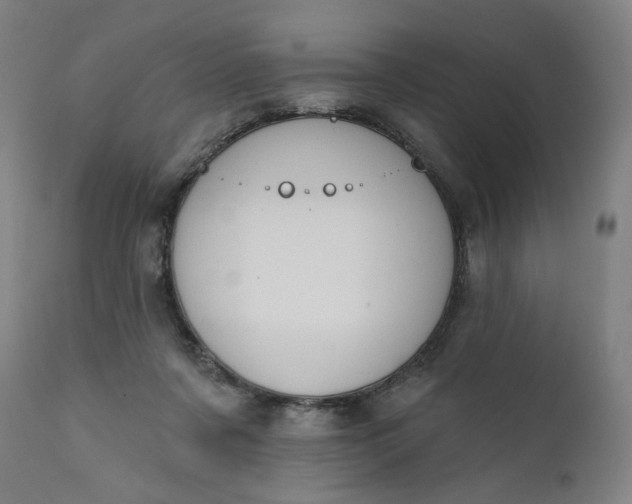 X0000111610311200907311145