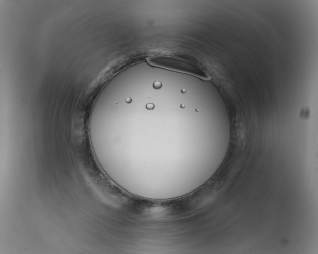 X0000111610312200907311145