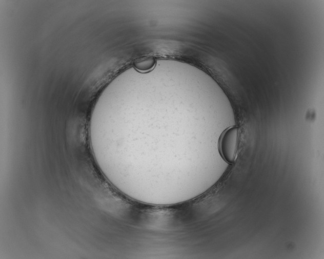 X0000111610313200907311145