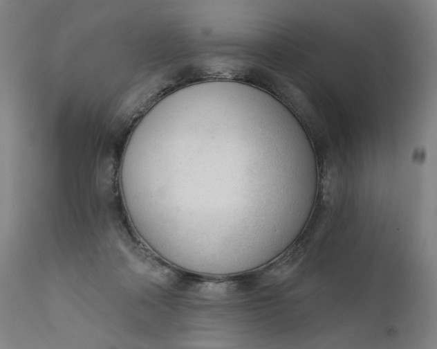 X0000111610314200907311145